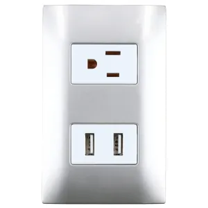 Placa 1 contacto 1 USB doble 1/3, línea Americana, color plata, Surtek P432P